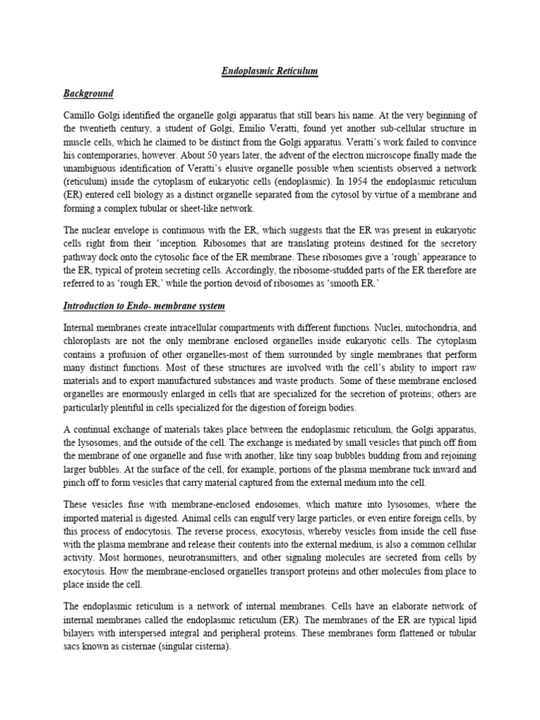 Cell Biology Endoplasmic Reticulum Pdf Endoplasmic Reticulum