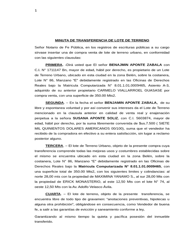 Comprare Terricio Per Syngonium? ✓ Alta Qualità - Foto 10