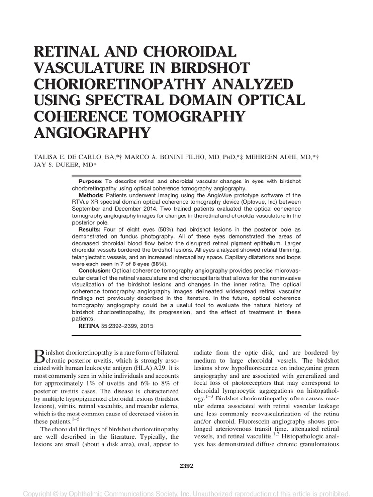 Retinal and Choroidal Vasculature in Birdshot Chorioretinopathy ...