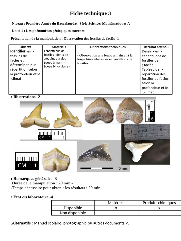 observation-des-fossiles-de-faci-s-pdf