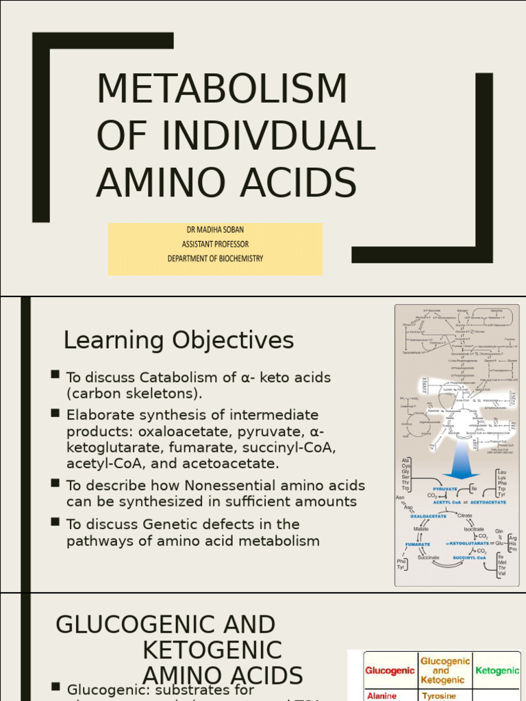 Metabolism of Individual Amino Acids | PDF | Biosynthesis | Serine