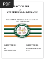 PDF Document