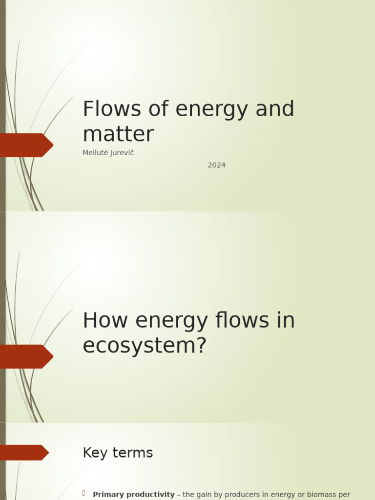 Flows of Energy and Matter | PDF | Primary Production | Ecosystem