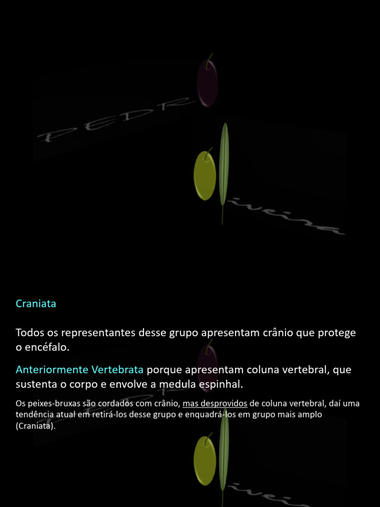 Craniata: Características e Classes | PDF | Sapo | Sistema circulatório