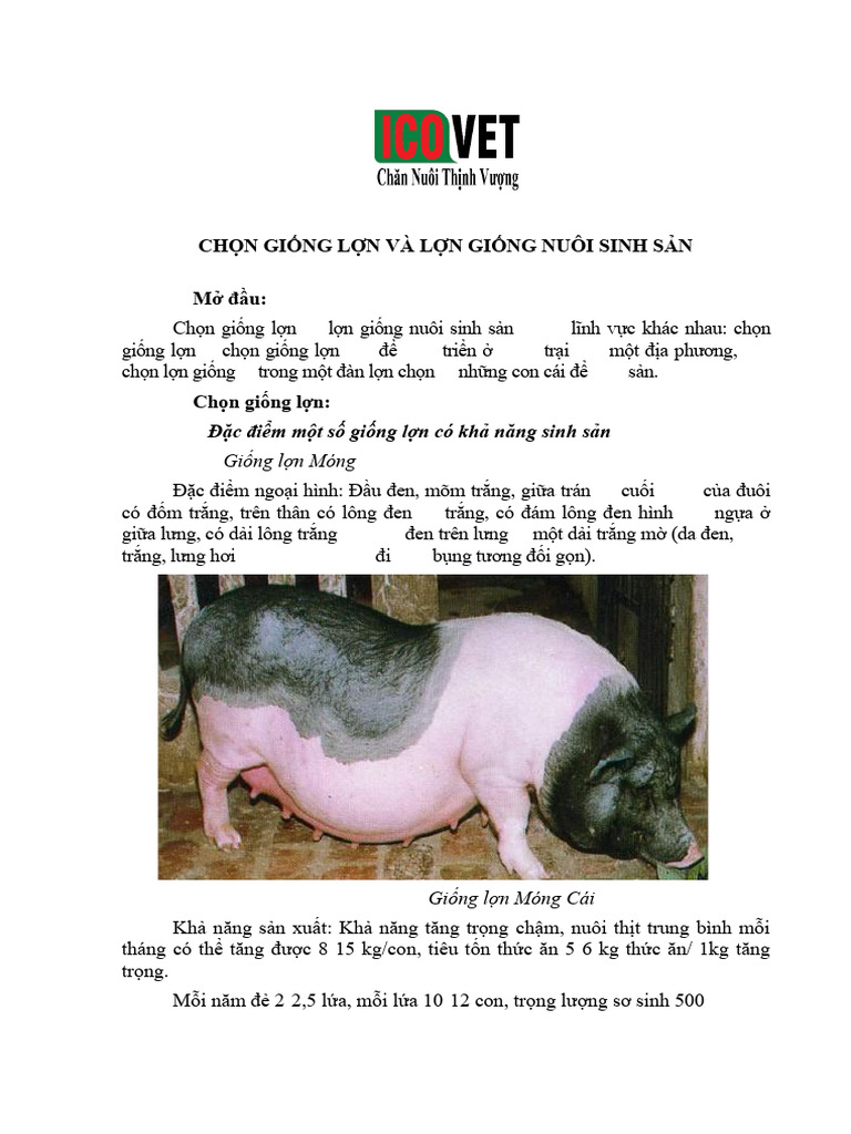 Huong Dan Chon Lon Nai Va Cong Thuc Lai Hieu Qua Nhat o Viet Nam | PDF