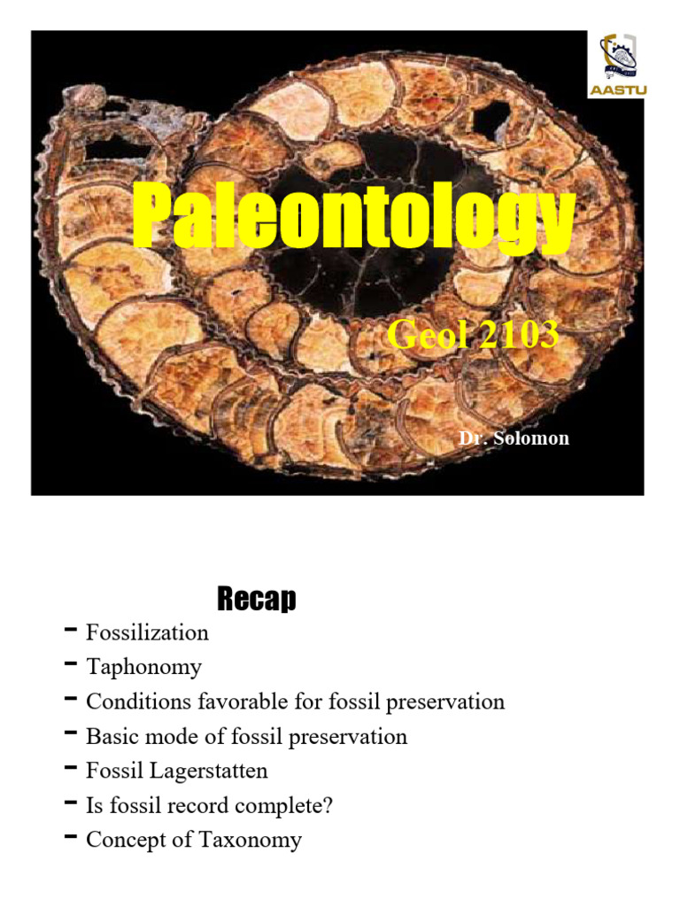 Arthropoda Overview and Fossilization | PDF | Crustacean | Arthropods
