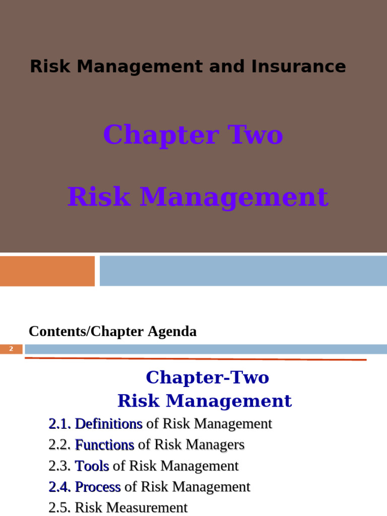 Risk Management Essentials Guide | PDF | Risk Management | Risk