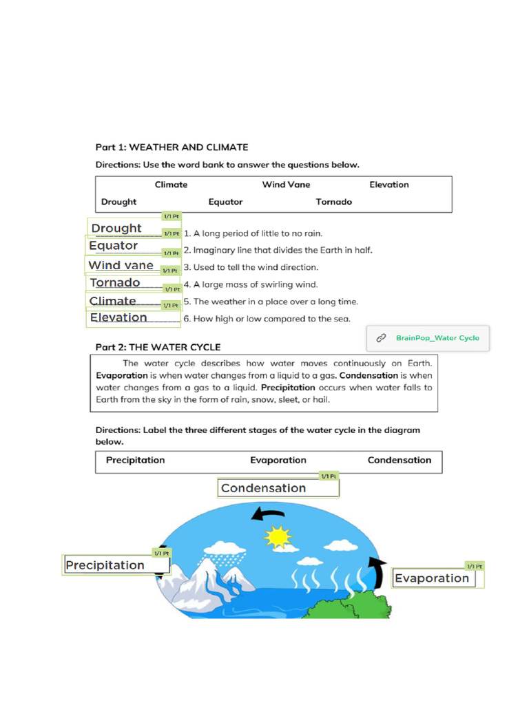 Science 3 Review Pack Semester 1 (Answer Key) | PDF