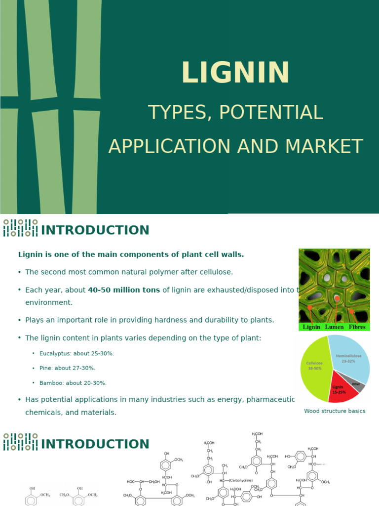 Lignin en | PDF