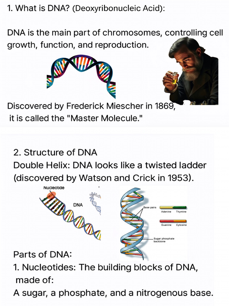 All About Genes | PDF