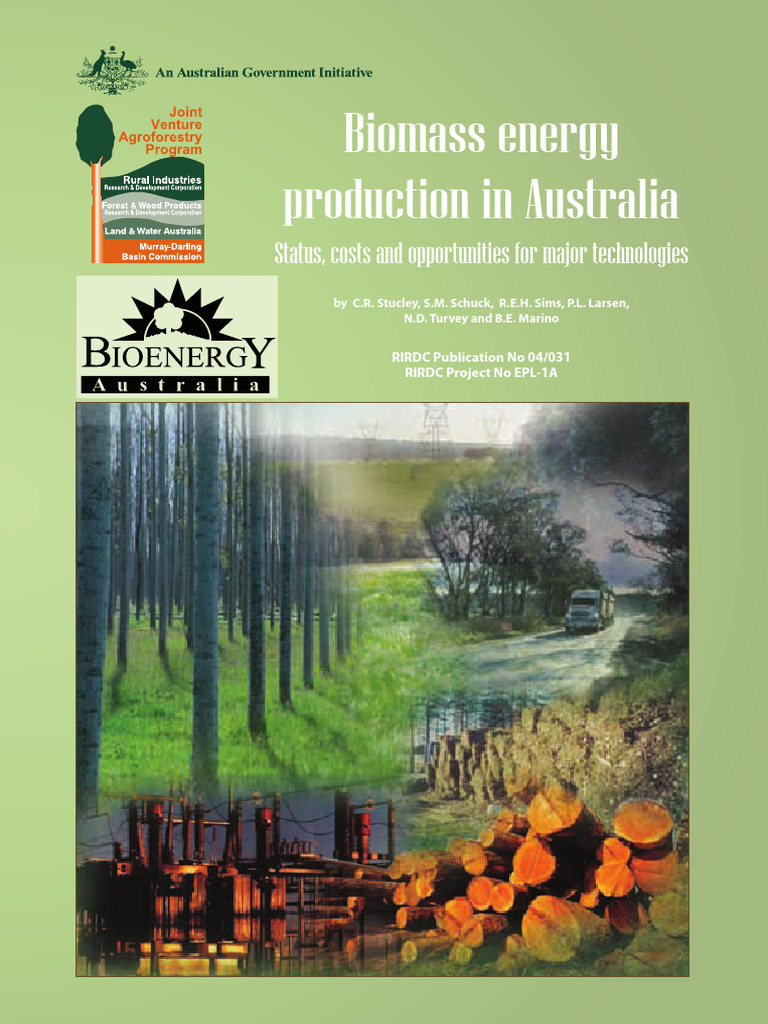 Biomass Energy Revenue Insights | PDF | Bioenergy | Power Resources