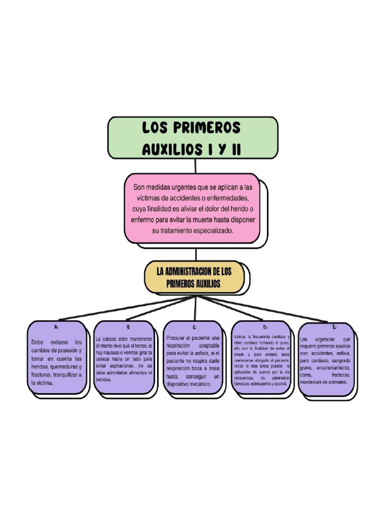 Los Primeros Auxilios I y II | PDF