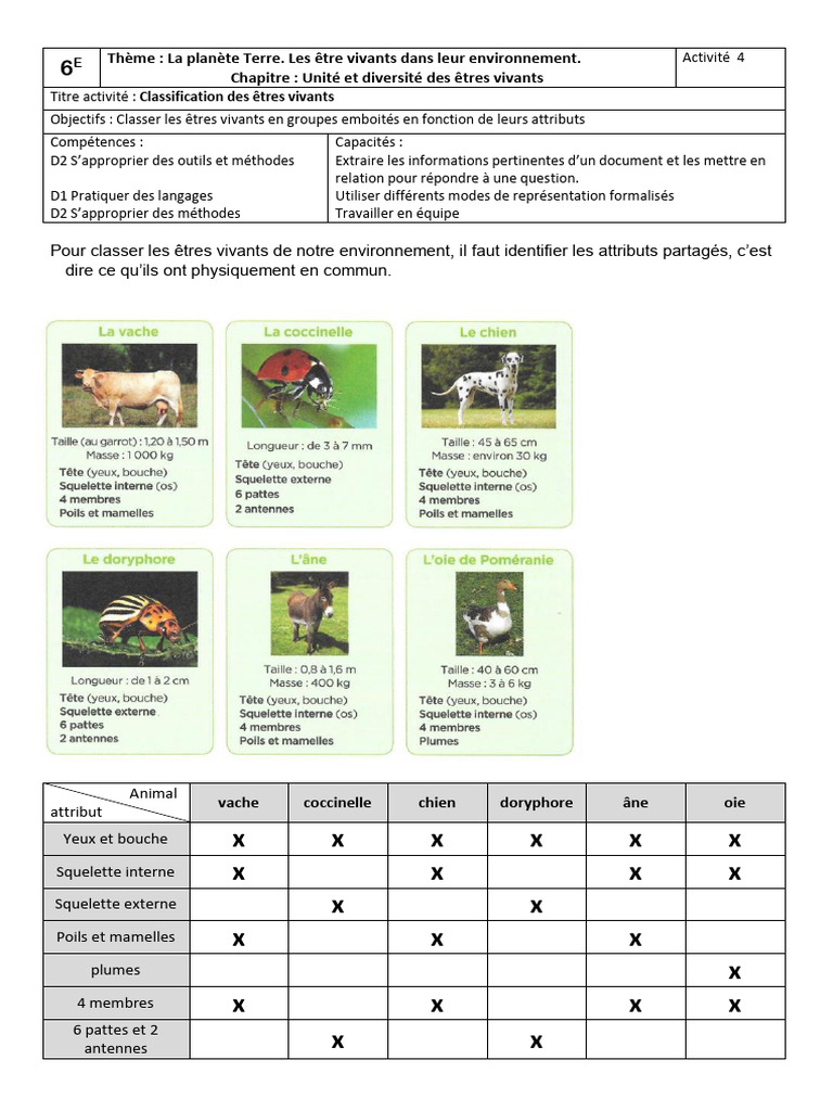 Classification des êtres vivants en SVT | PDF