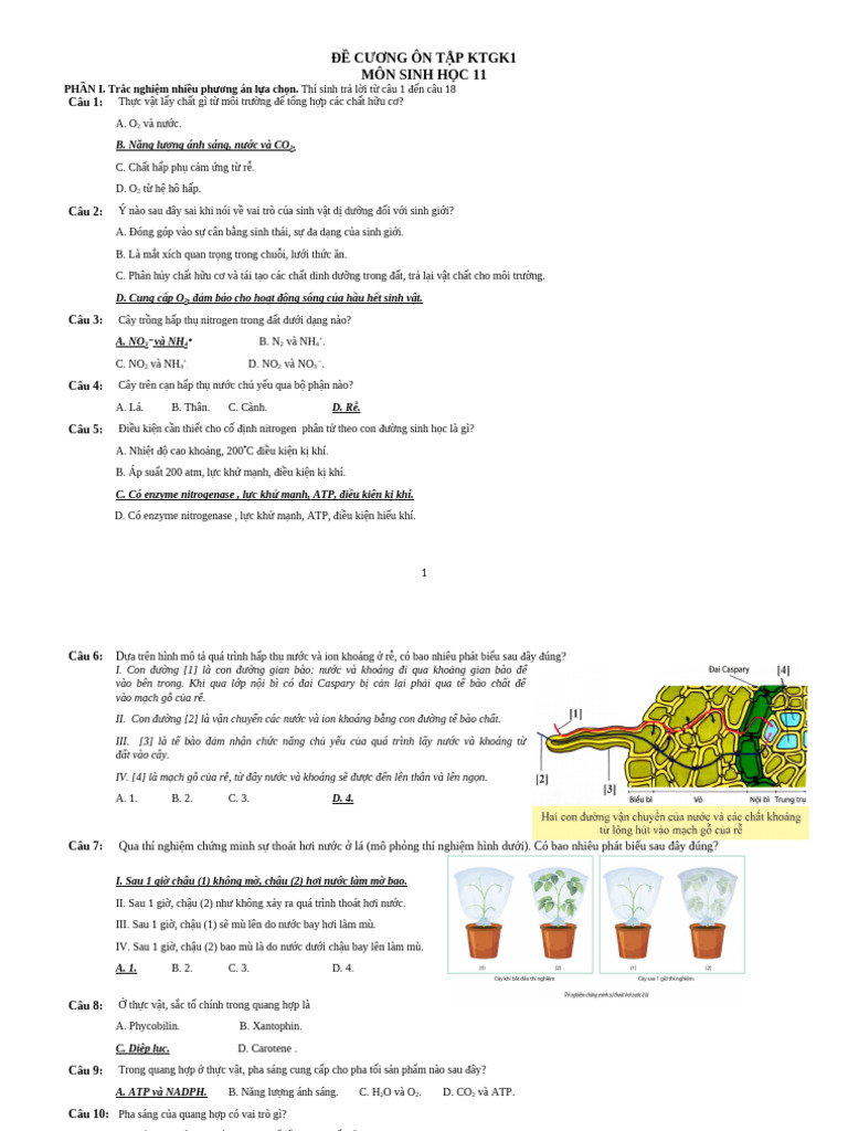 SINH | PDF