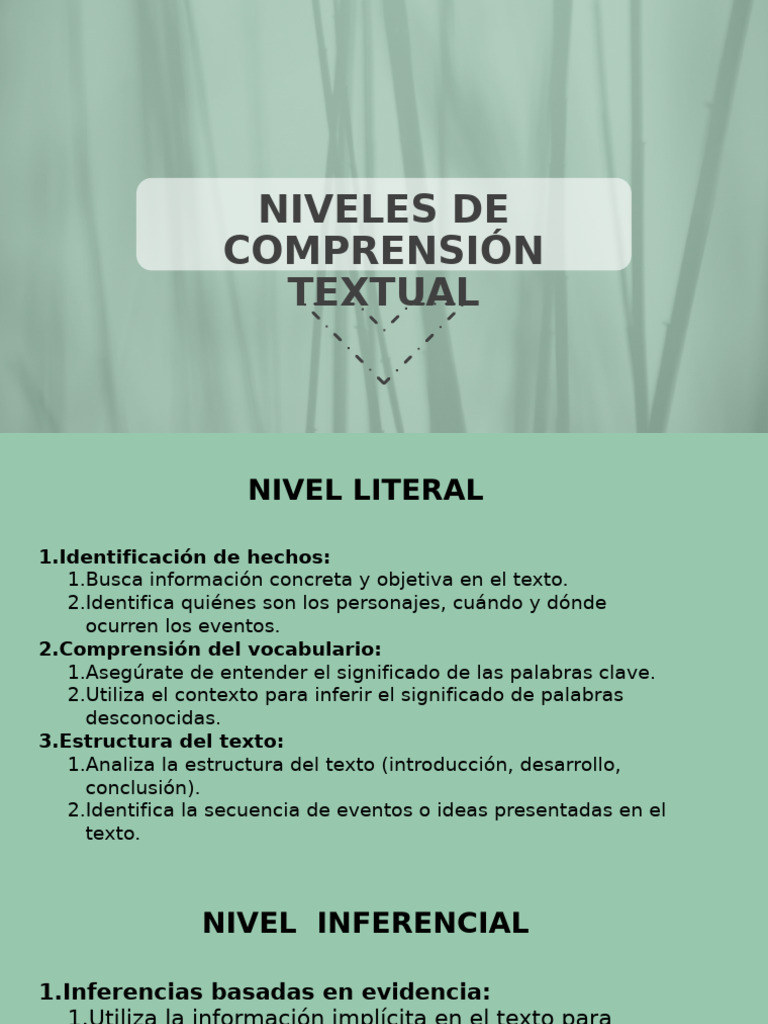 Diapositivas - Niveles de Comprensión Actualizado | PDF | Inferencia ...