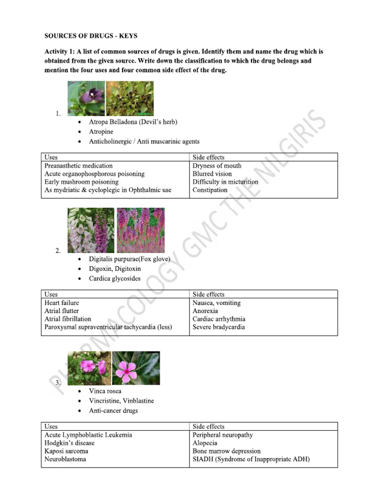 Sources of Drugs | PDF