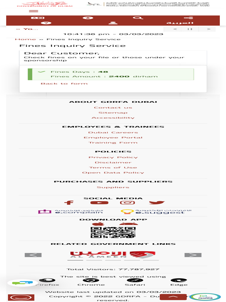 FINES INQUIRY SERVICE visual data 2
