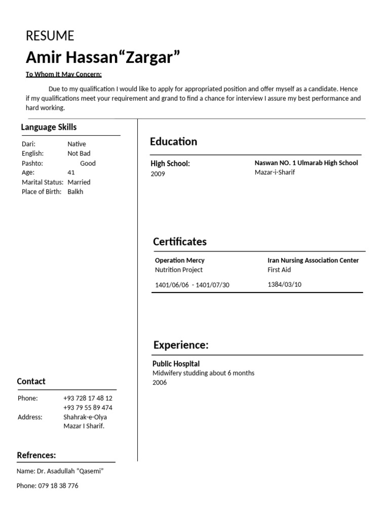 Amir Hassan Zargar's Resume | PDF