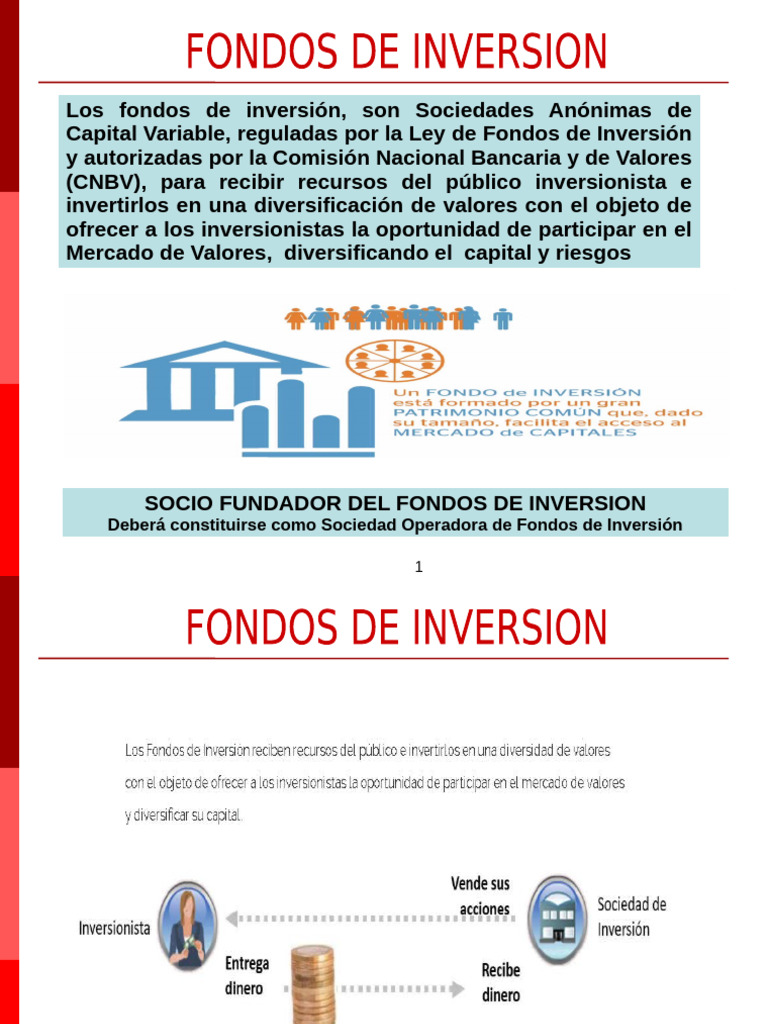 Fondos de Inversion R | PDF | Fondo de inversión | Compartir (Finanzas)
