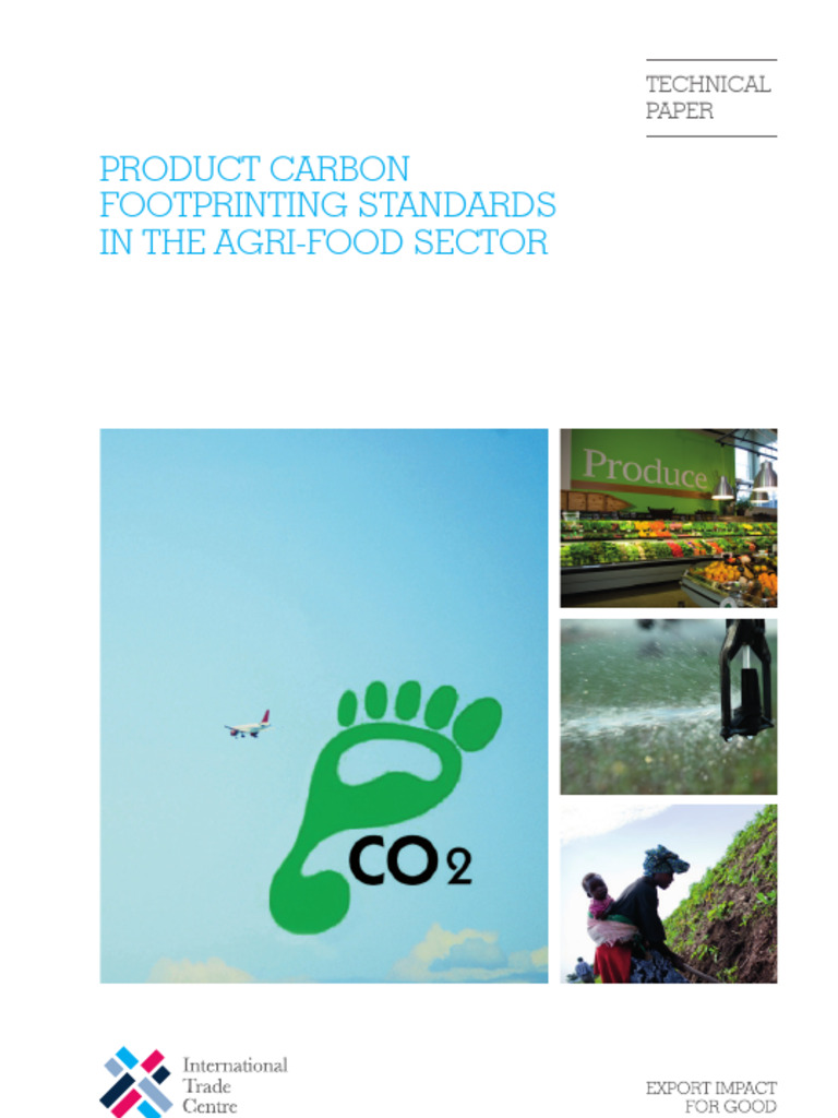 Product Carbon Footprinting - Final | PDF | Carbon Footprint | Life ...