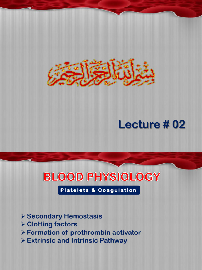 2nd Lecture Coagulation 2024 | PDF | Coagulation | Biomolecules