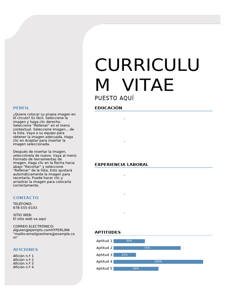 Guía para Crear un Currículum Vitae | PDF
