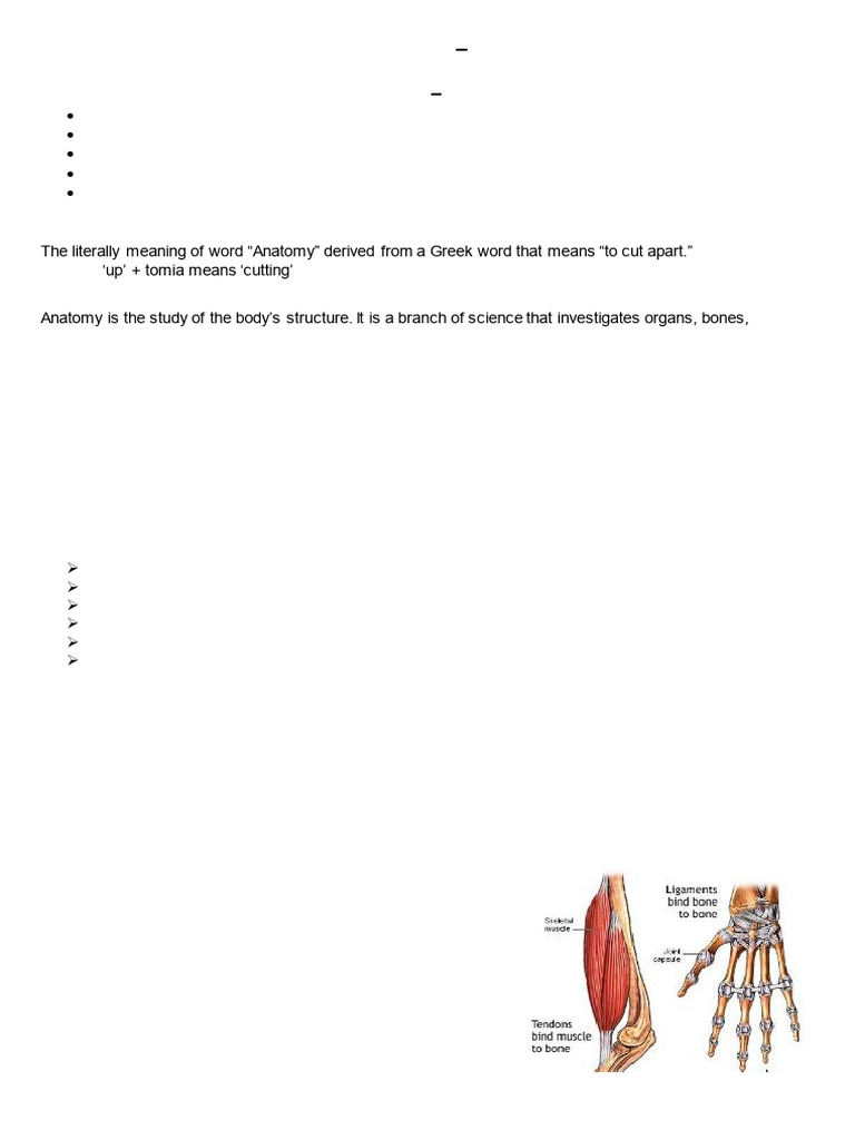 Anatomy and Physiology in Sports | PDF | Anatomical Terms Of Motion ...