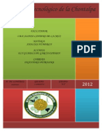 Análisis numérico velocidad paracaidista