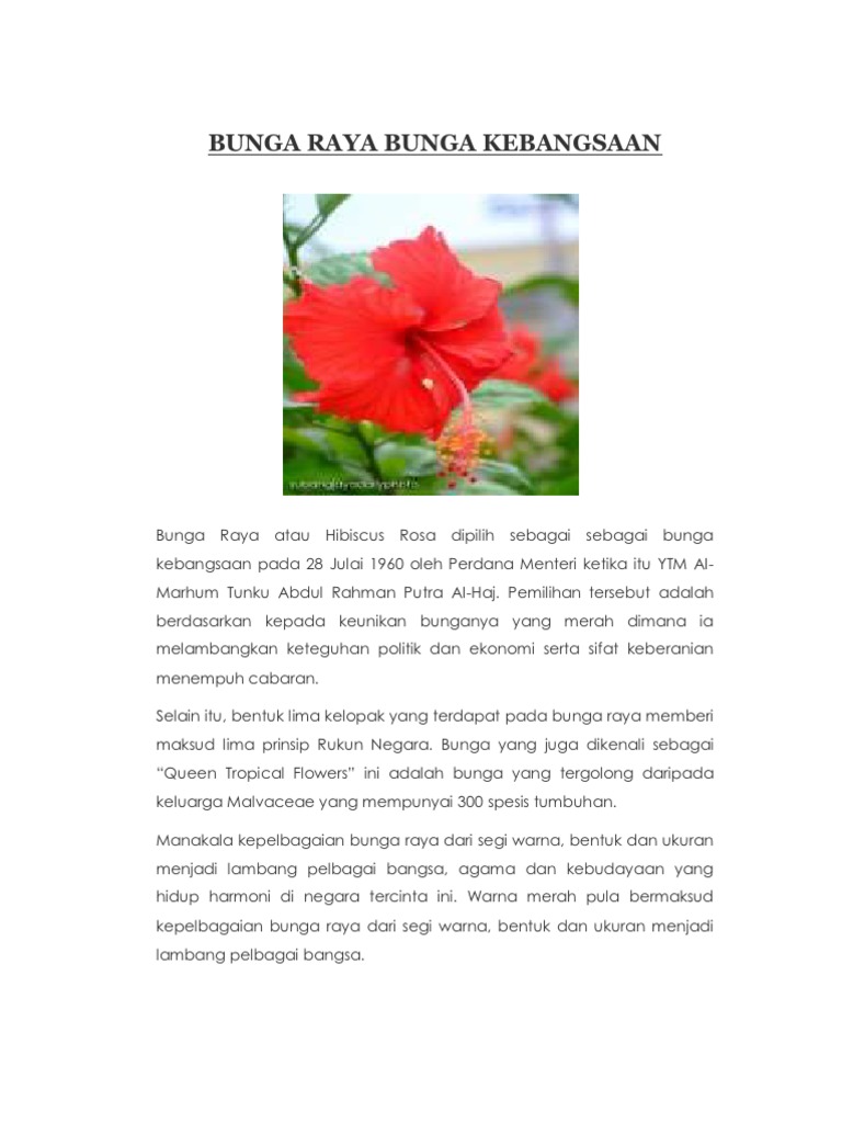Bunga Raya | PDF | Griya & Taman