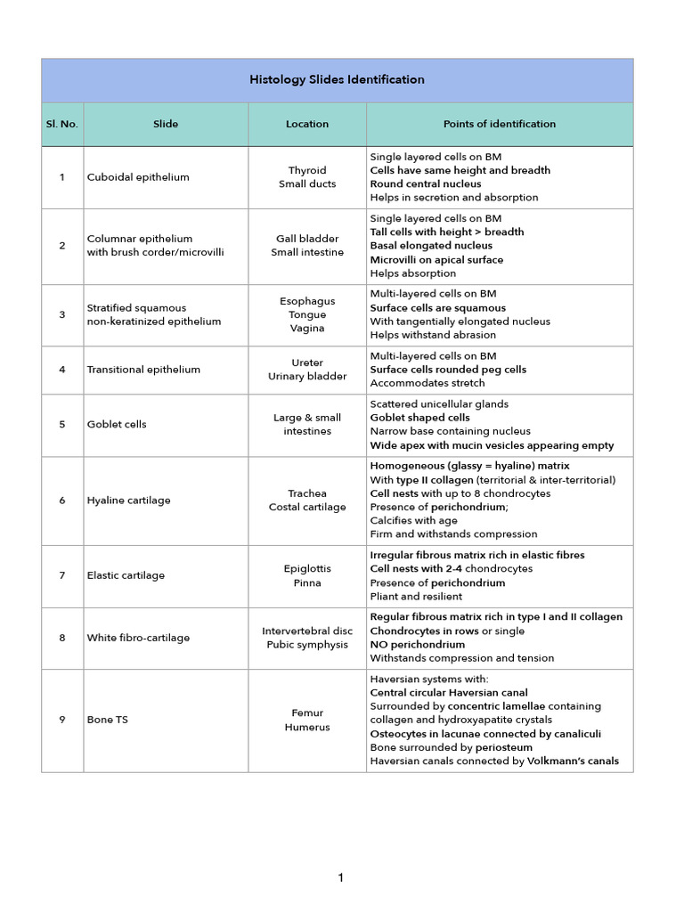Histology Slide Guide: Tissue ID | PDF | Lymph Node | Epithelium