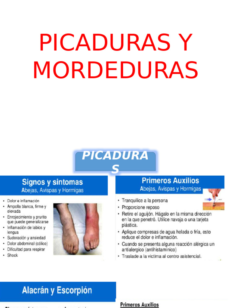 Picaduras y Mordeduras | PDF