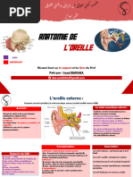 Anatomie et Physiologie de l'Oreille | PDF | Oreille | Sens (physiologie)