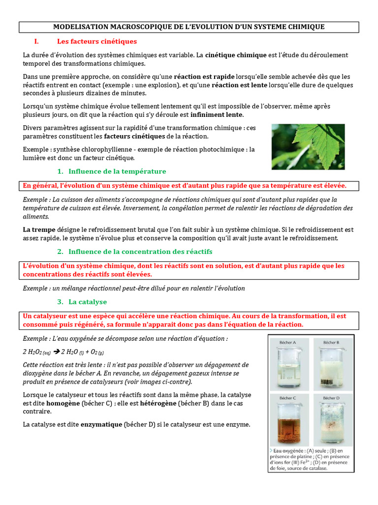 Facteurs cinétiques en chimie et vitesse de réaction | PDF | Catalyse ...