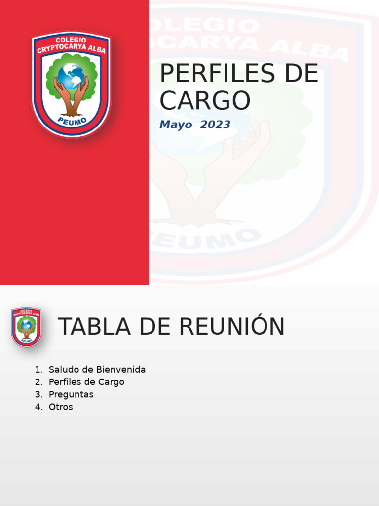 Perfiles de Cargo: Asistente de Aula | PDF | Maestros | Salón de clases