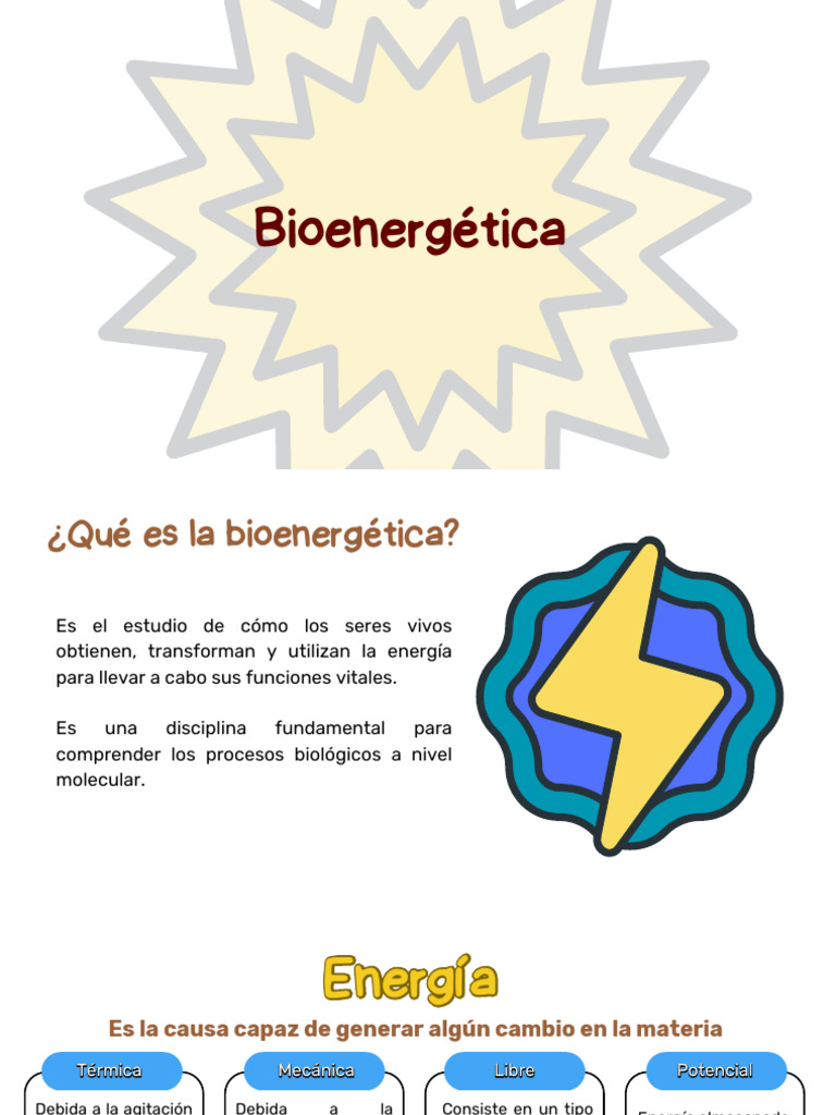Bioenergetica | PDF | Glucólisis | Metabolismo