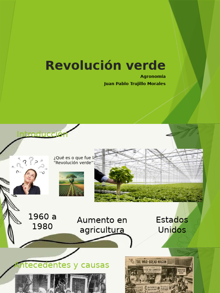 Impacto de la Revolución Verde en EE.UU. | PDF
