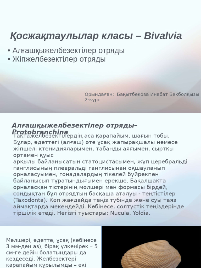 Новосибирскідегі жезөкшелерге қоңырау шалу