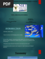 FISH Technique: Principles and Procedure | PDF | Fluorescence In Situ ...
