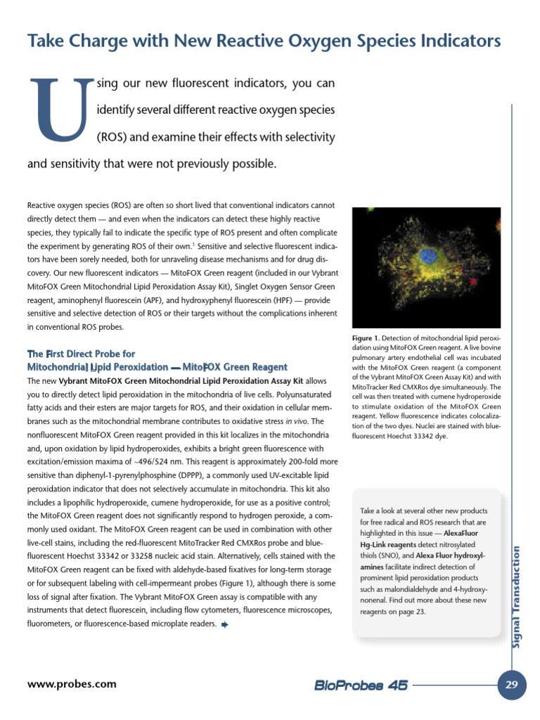New Indicators for Reactive Oxygen Species | PDF | Reactive Oxygen ...
