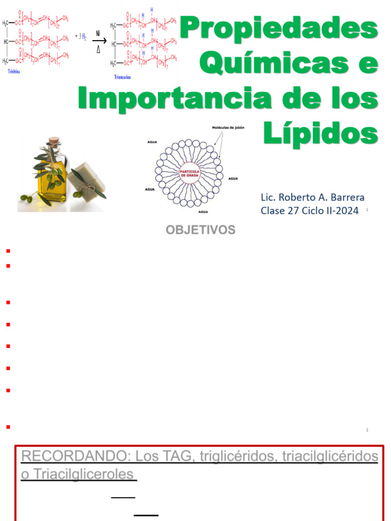 LIPIDOS 2 - Reacciones Qcas e Importancia 2024 | PDF | Lípido ...