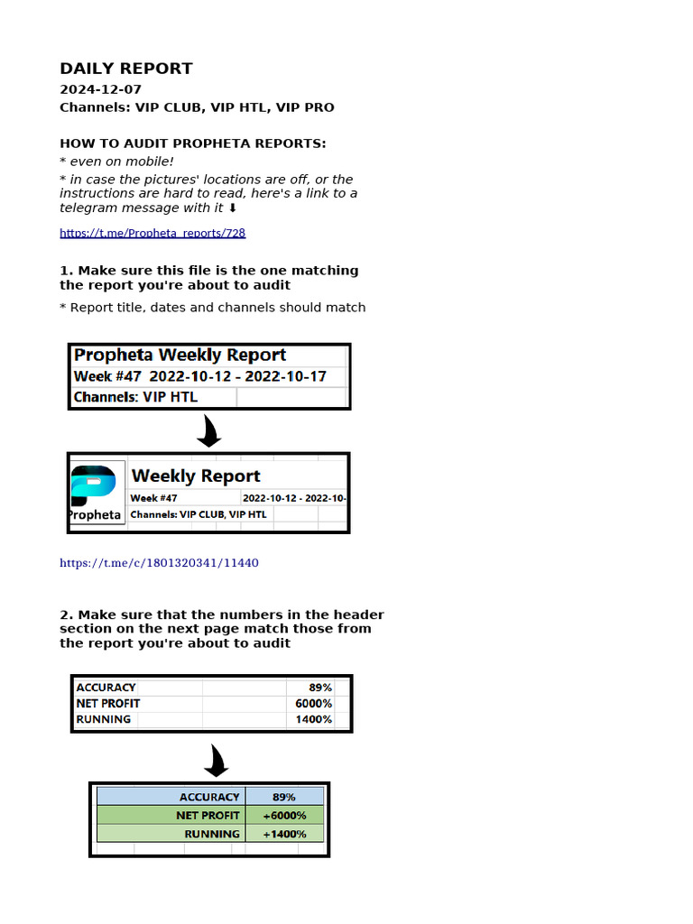 Daily Propheta Report Audit Guide | PDF