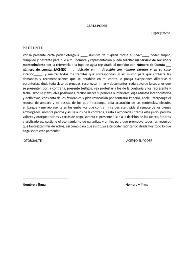 Formato de Carta Poder para Tramites | PDF