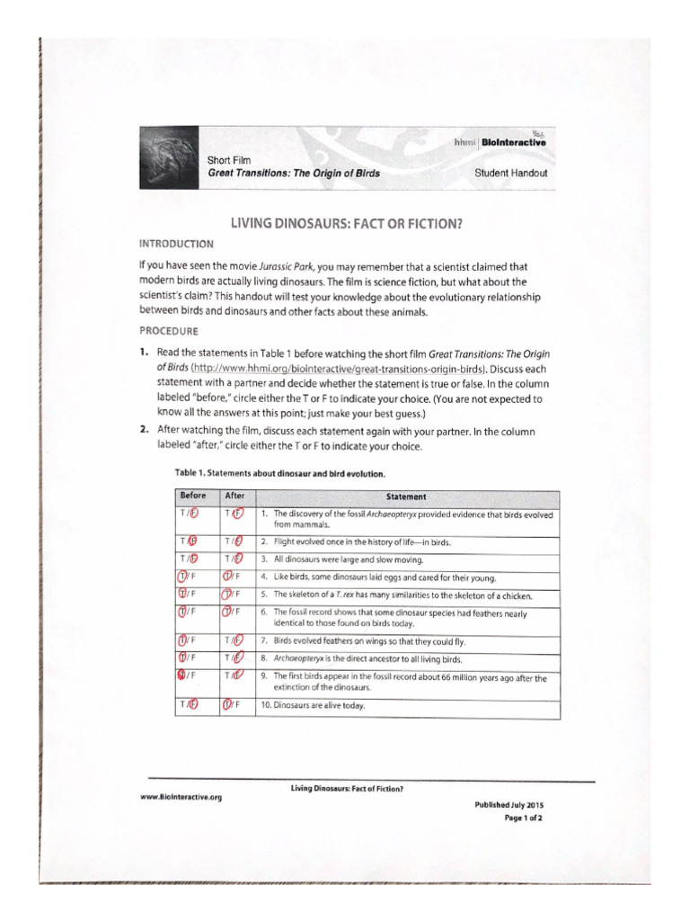 hhmi+Biointeractive | PDF
