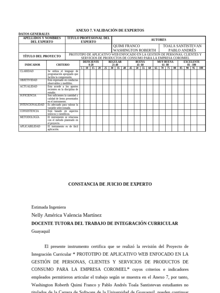 Validacion de Experto | PDF