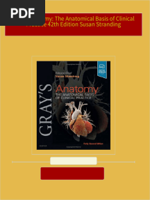 Download Complete Gray's Anatomy: The Anatomical Basis of Clinical Practice 42th Edition Susan Stranding PDF for All Chapters