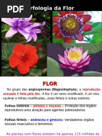 Aula 6 Flor Anatomia e Morfologia | PDF | Flores | Morfologia vegetal