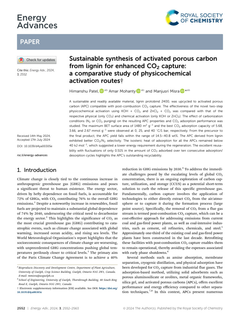 Sustainable Synthesis of Activated Porous Carbon F | PDF | Adsorption ...