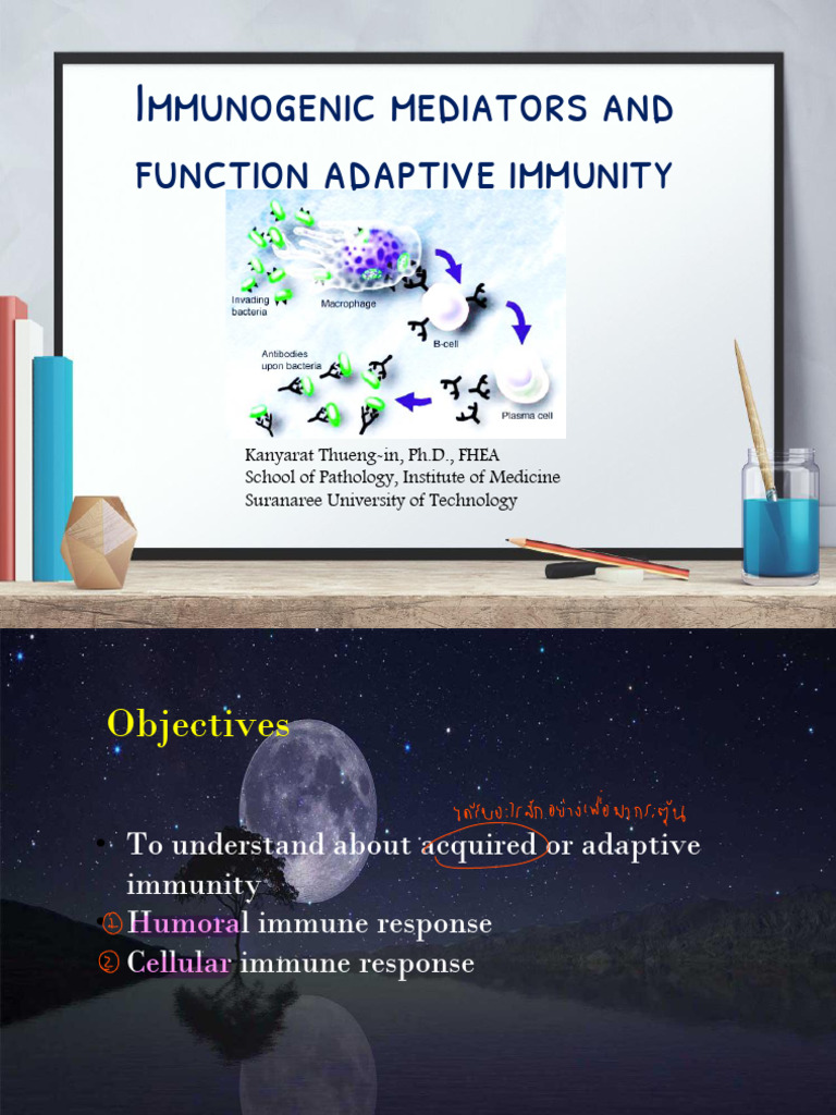 L3-Adaptive Immunity 67 | PDF | Immune System | T Cell