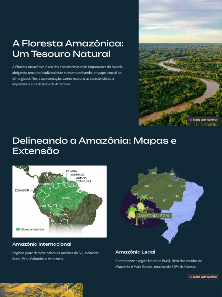 A Floresta Amazonica Um Tesouro Natural | PDF | Floresta Amazônica | Brasil