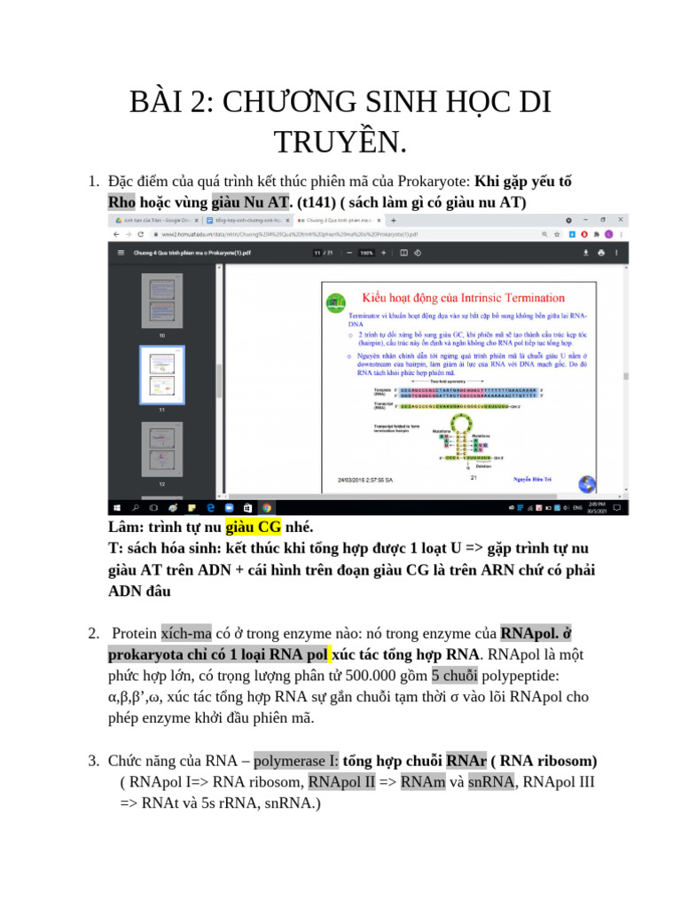 tổng hợp sinh chương sinh học di truyền | PDF